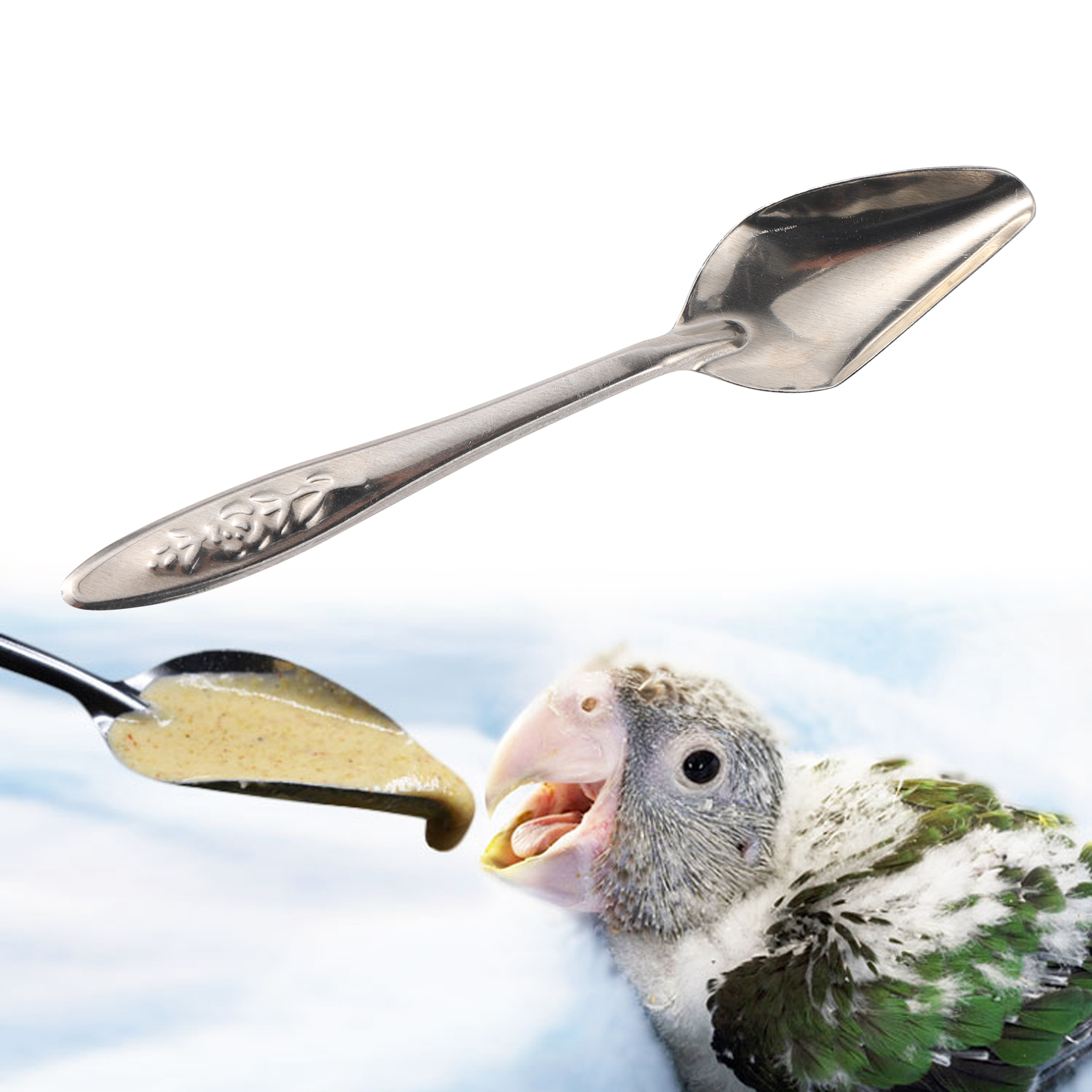 Stainless Bird Feeding Spoons (5pcs)