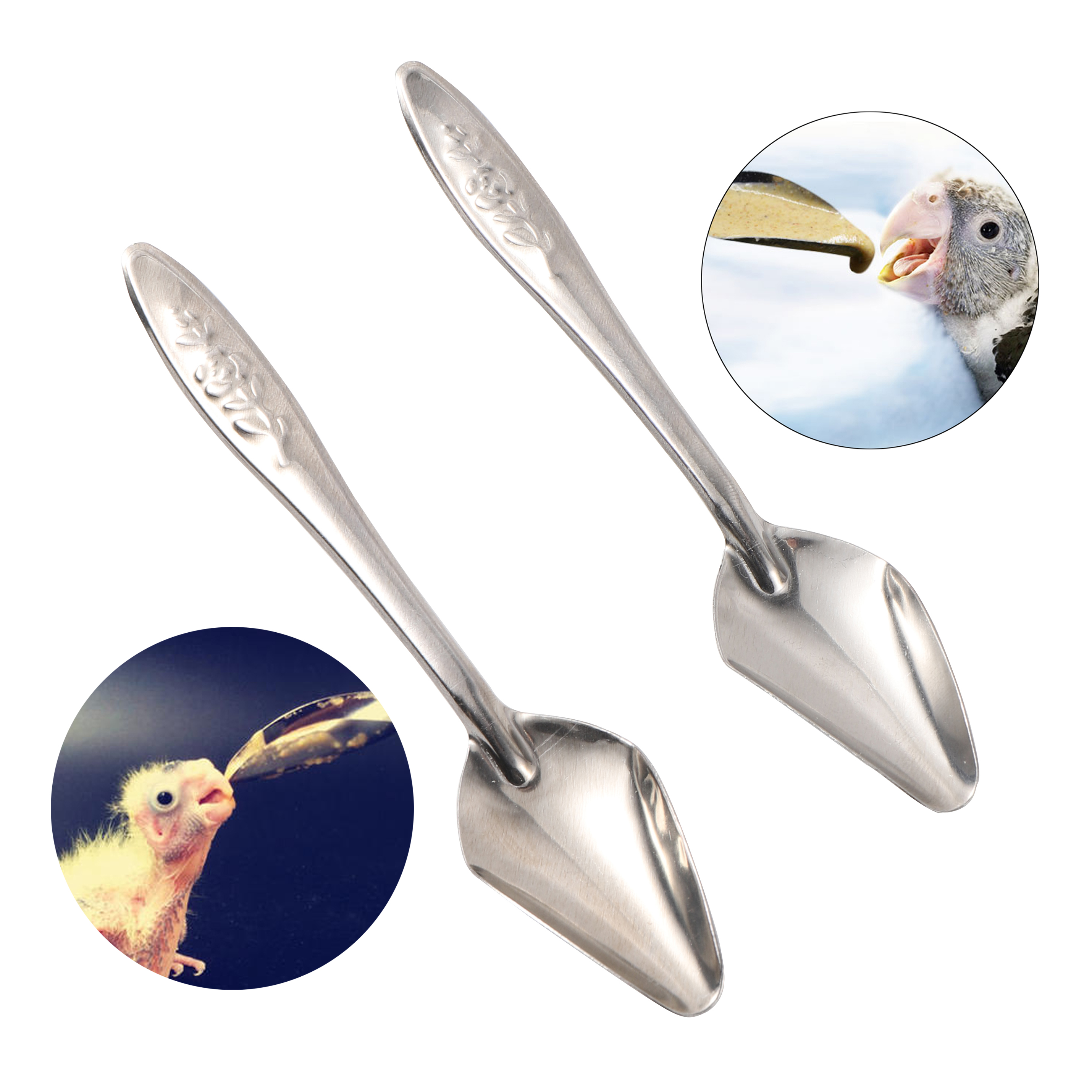 Stainless Bird Feeding Spoons (5pcs)