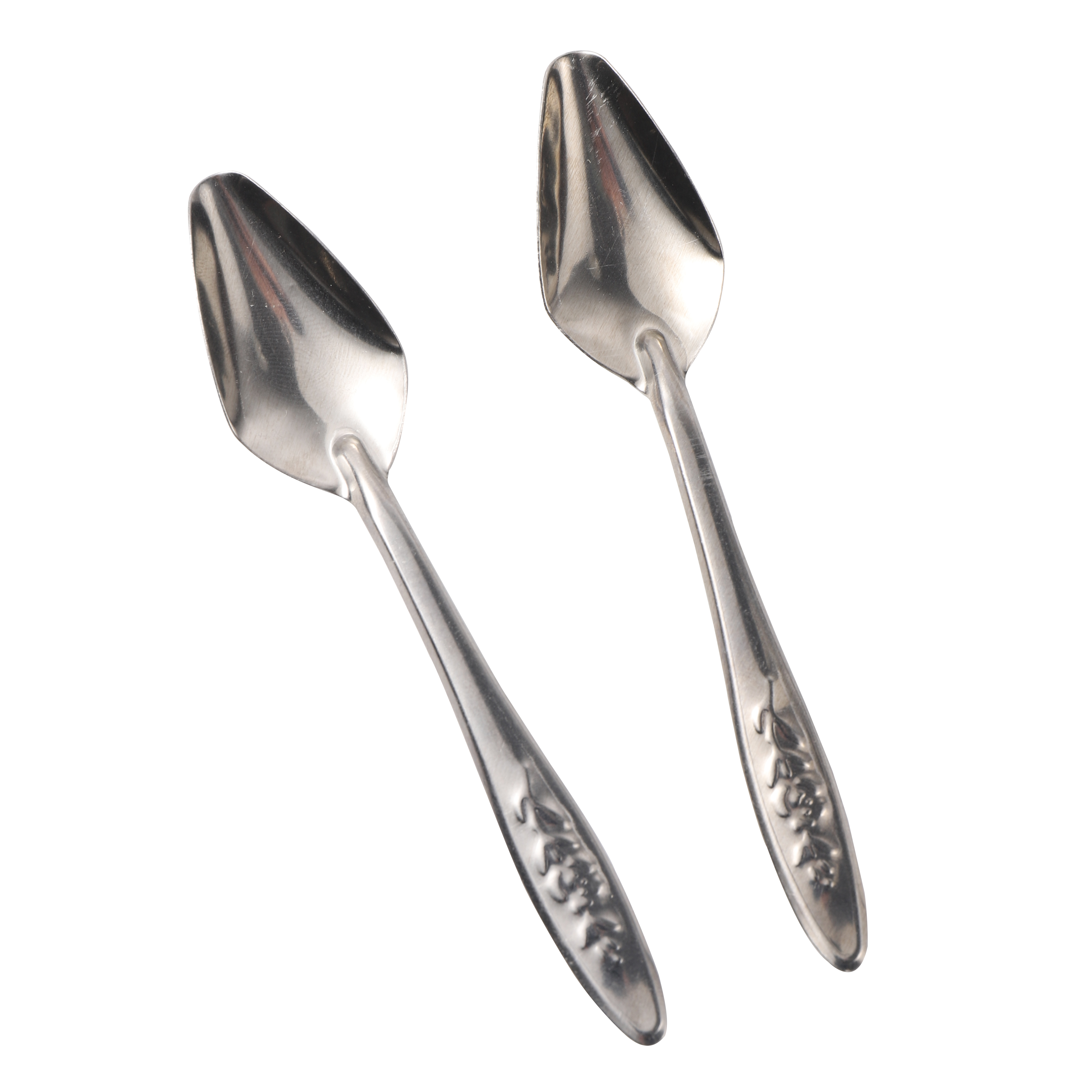 Stainless Bird Feeding Spoons (5pcs)