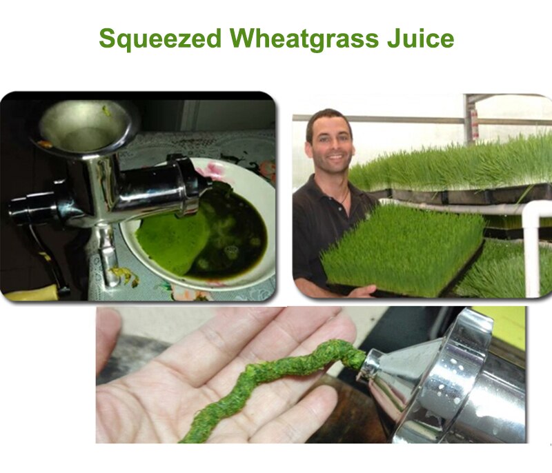 Stainless Manual Wheatgrass Juicer Stainless Manual Wheatgrass Juicer