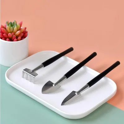 Stainless Mini Succulent Gardening Tools (3pcs) Stainless Mini Succulent Gardening Tools (3pcs)