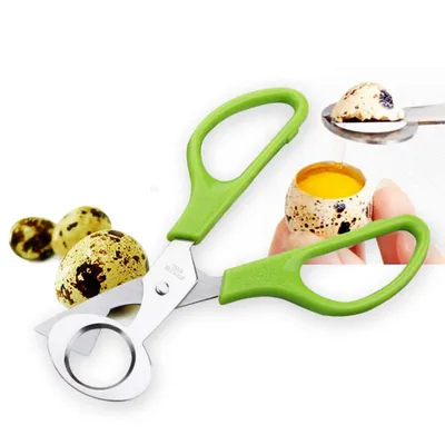 Stainless Quail Egg Cutter Scissors