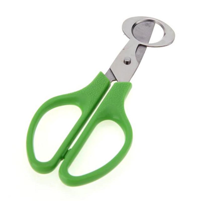 Stainless Quail Egg Cutter Scissors