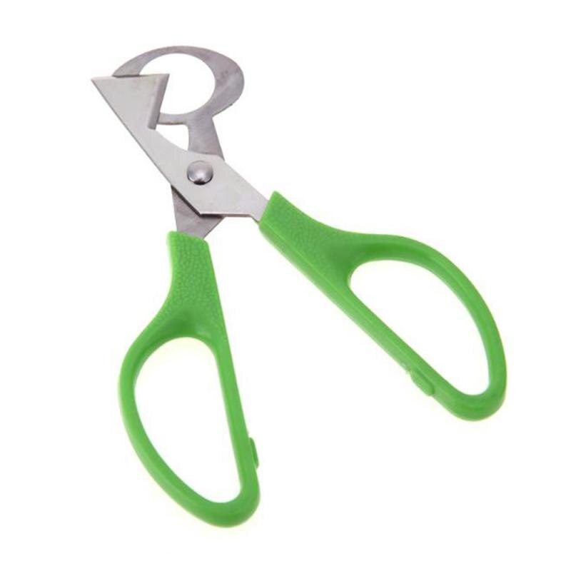 Stainless Quail Egg Cutter Scissors