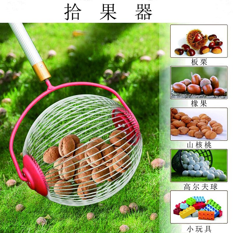 Stainless Rolling Nut Gatherer Tool Stainless Rolling Nut Gatherer Tool