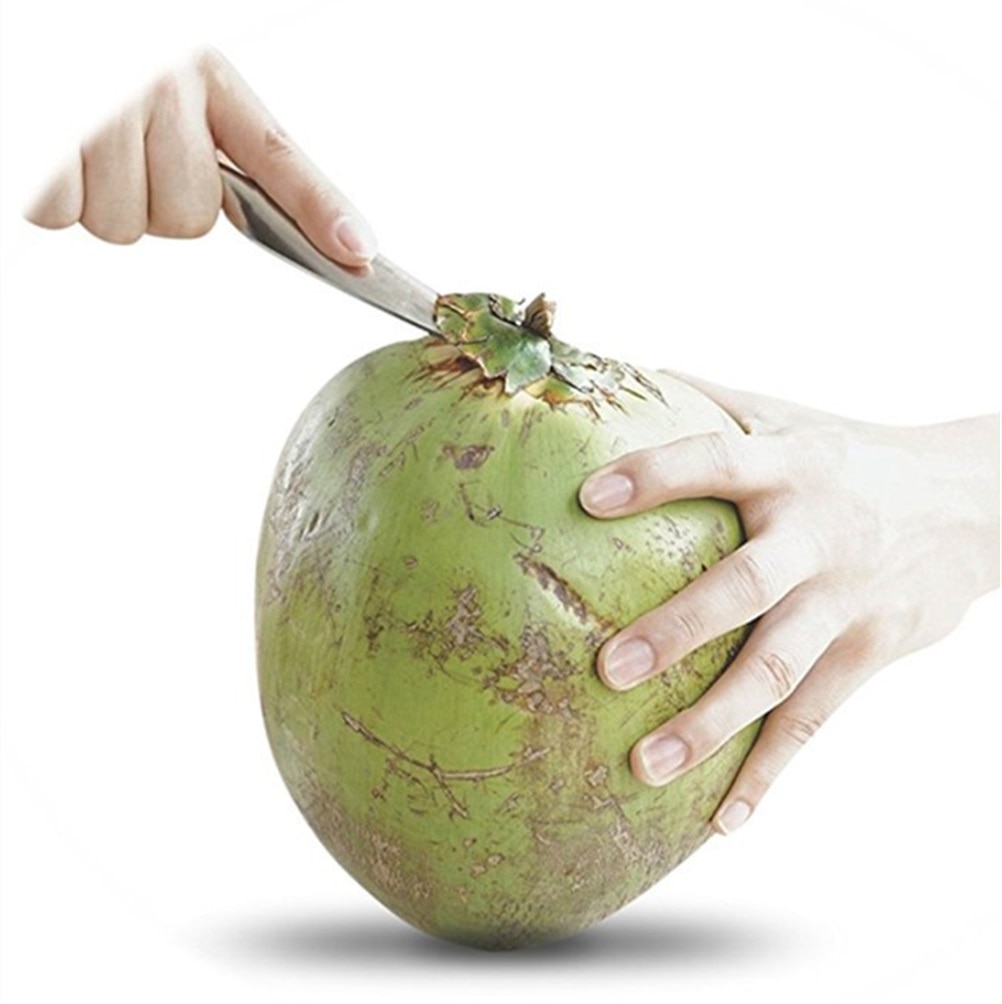 Stainless Screw-In Coconut Driller