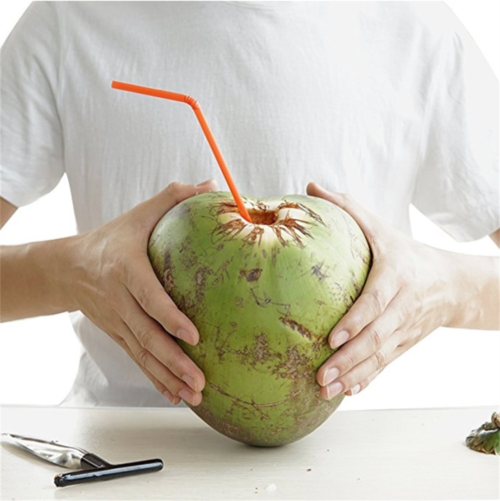 Stainless Screw-In Coconut Driller