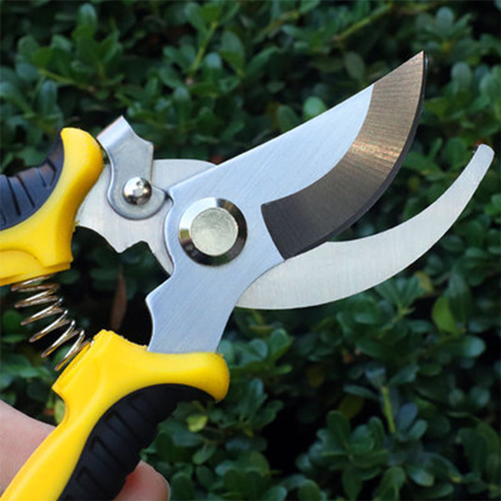 Stainless Steel Blade Bypass Pruning Shears Stainless Steel Blade Bypass Pruning Shears