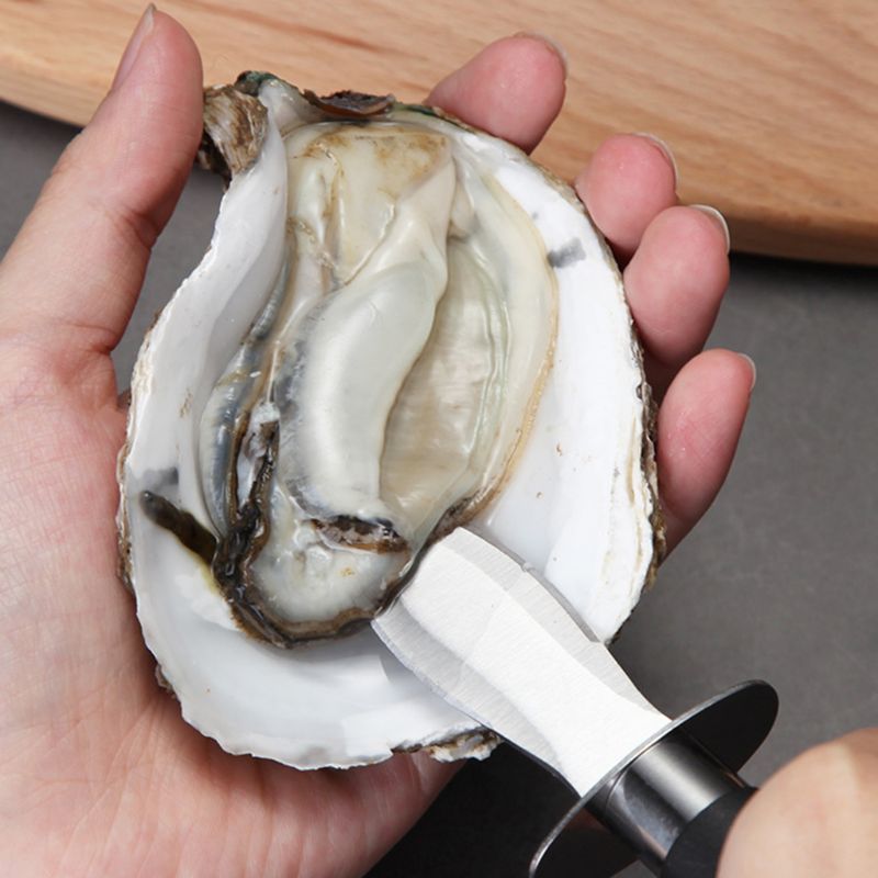 Stainless Steel Blade Shucking Knife Stainless Steel Blade Shucking Knife