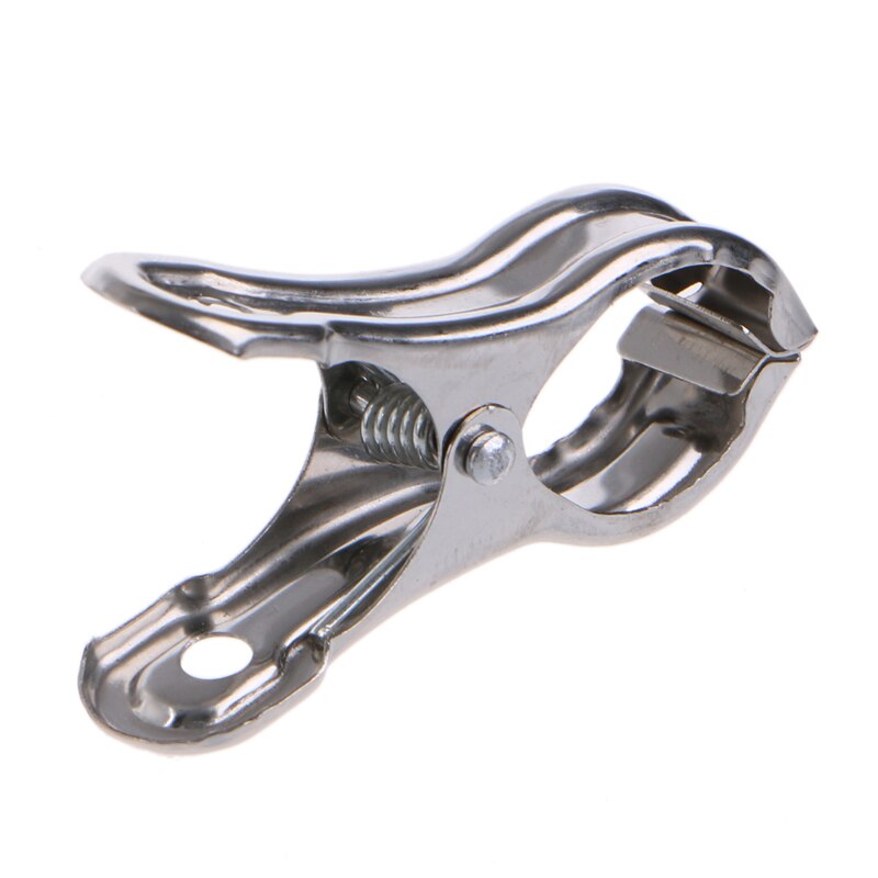 Stainless Steel Clothes Pegs (20pcs)