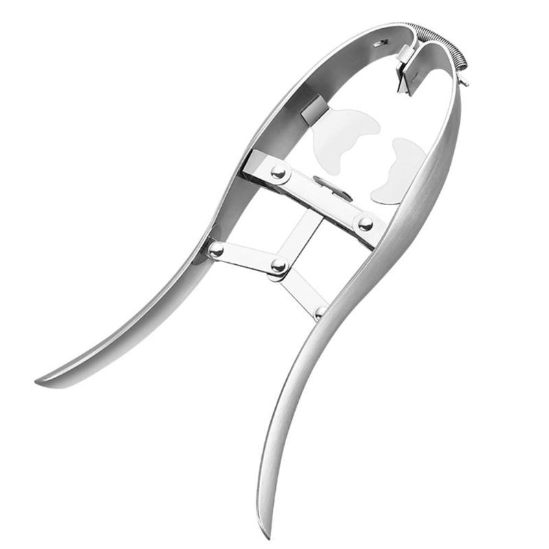Stainless Steel Egg Breaker Tool