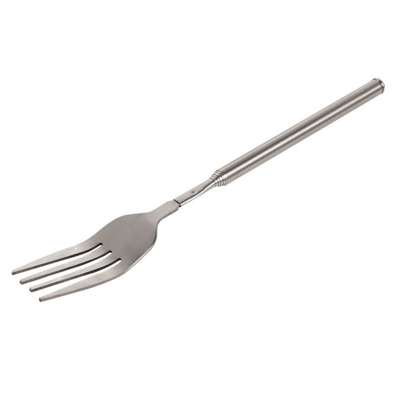 Stainless Steel Extendable Fork