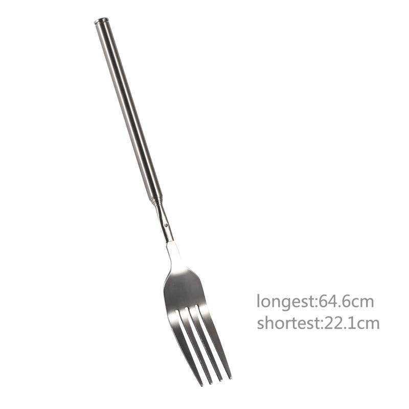 Stainless Steel Extendable Fork