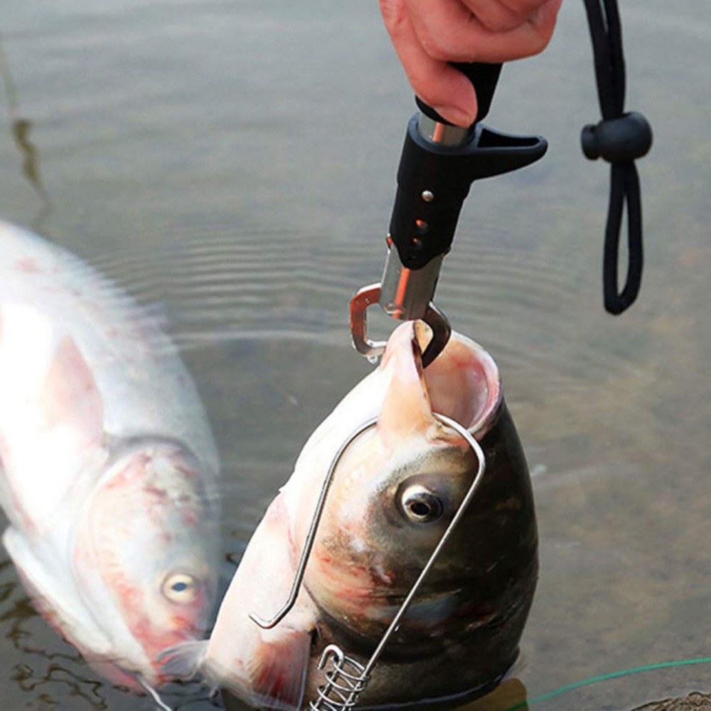Stainless Steel Fish Clamp