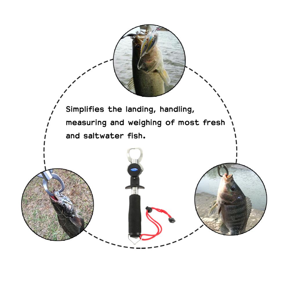 Stainless Steel Fish Clamp Stainless Steel Fish Clamp