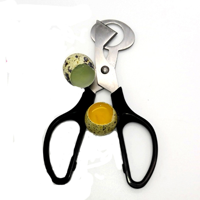 Stainless Steel Handheld Egg Scissor Stainless Steel Handheld Egg Scissor