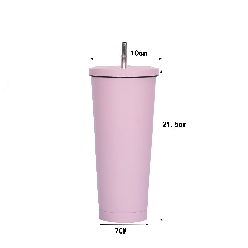 Stainless Steel Insulated Tumbler with Straw