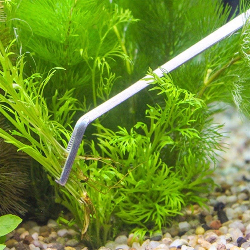 Stainless Steel Long Aquarium Tweezers