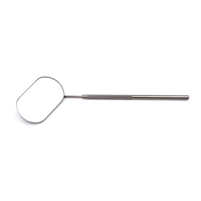Stainless Steel Long Handle Eyelash Mirror