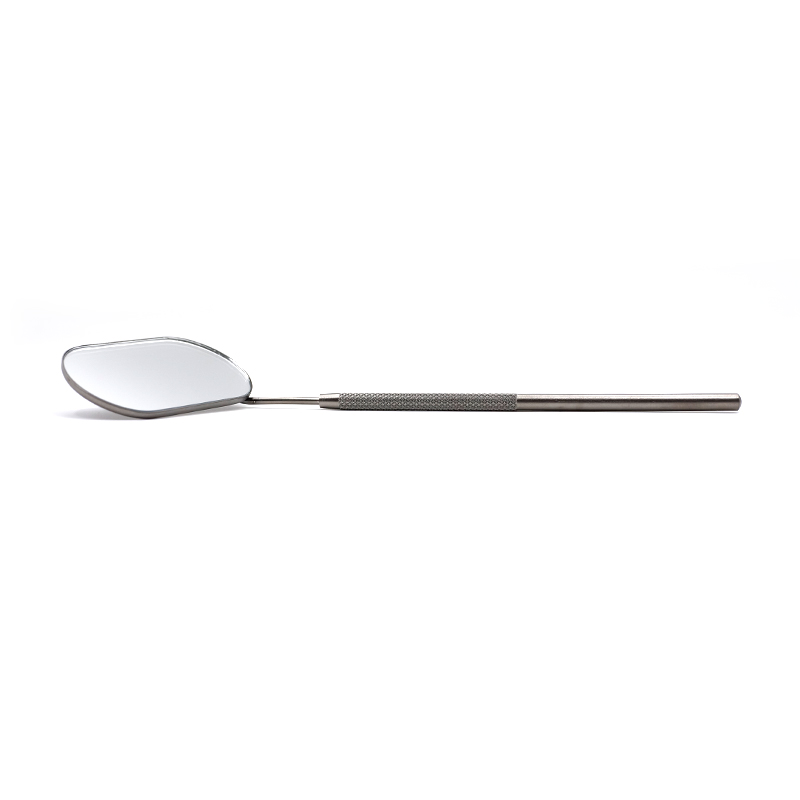 Stainless Steel Long Handle Eyelash Mirror