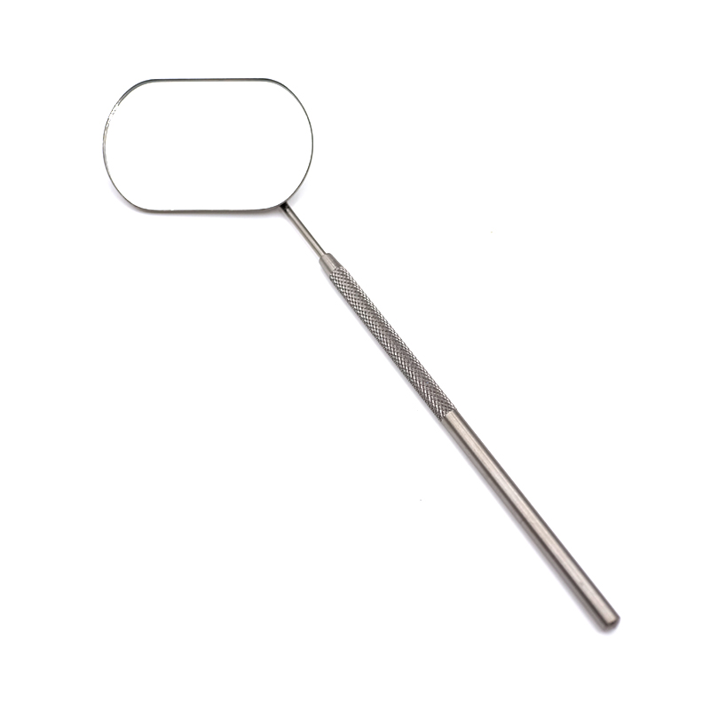 Stainless Steel Long Handle Eyelash Mirror