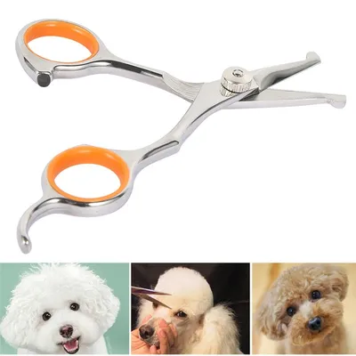 Stainless Steel Pet Grooming Scissors