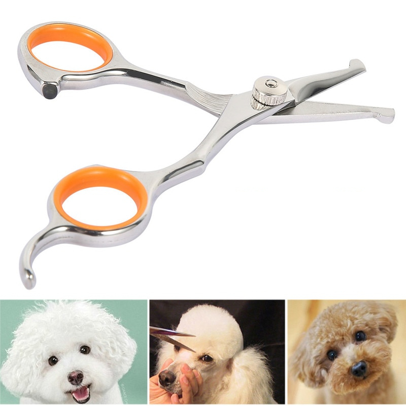 Stainless Steel Pet Grooming Scissors Stainless Steel Pet Grooming Scissors