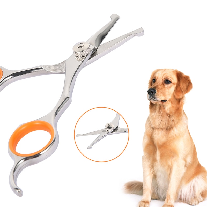Stainless Steel Pet Grooming Scissors