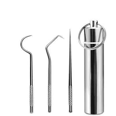 Stainless Steel Toothpicks with Case