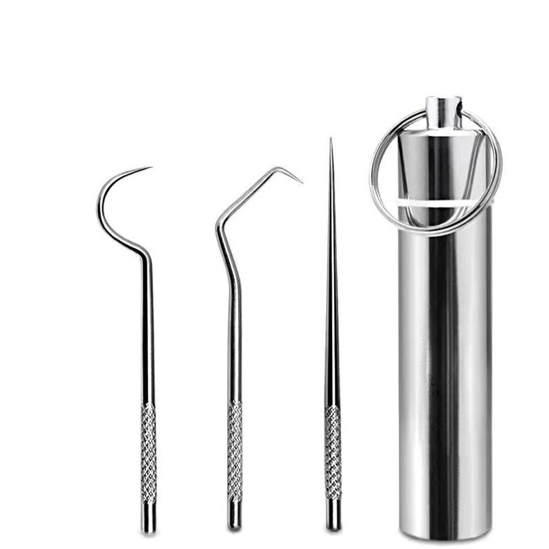 Stainless Steel Toothpicks with Case
