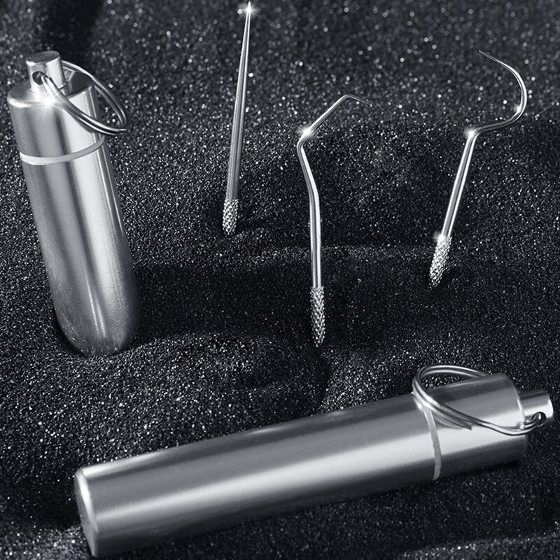 Stainless Steel Toothpicks with Case
