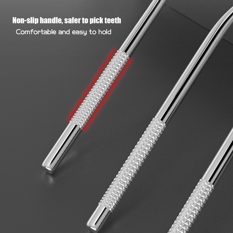 Stainless Steel Toothpicks with Case