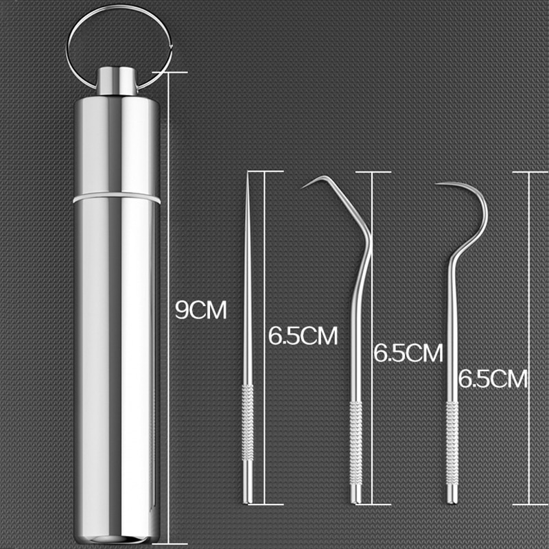 Stainless Steel Toothpicks with Case