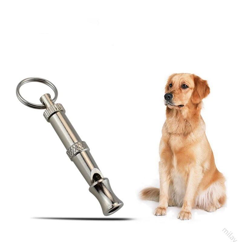 Stainless Steel Training Dog Whistle Stainless Steel Training Dog Whistle