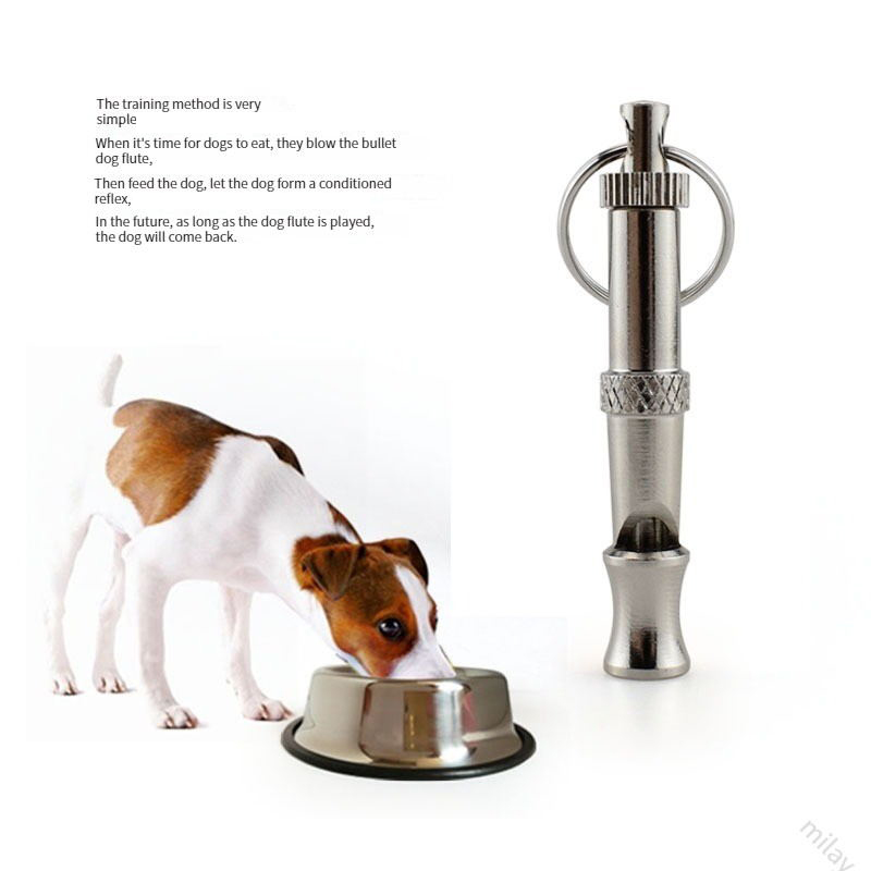 Stainless Steel Training Dog Whistle Stainless Steel Training Dog Whistle