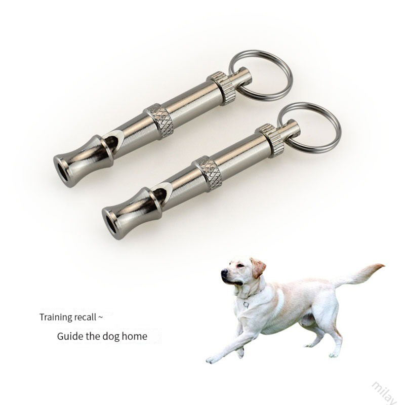 Stainless Steel Training Dog Whistle Stainless Steel Training Dog Whistle