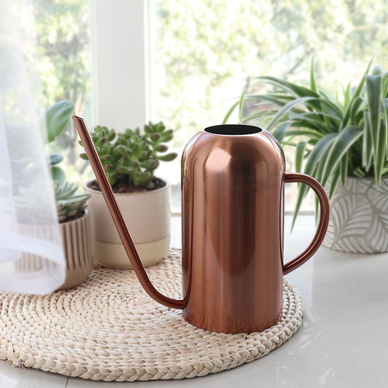 Stainless Steel Watering Can