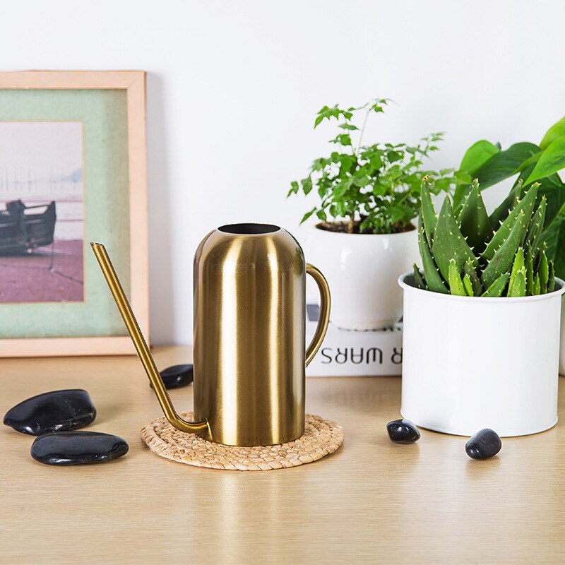 Stainless Steel Watering Can