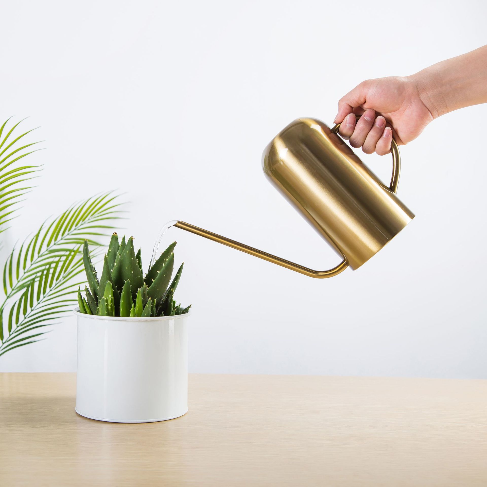 Stainless Steel Watering Can