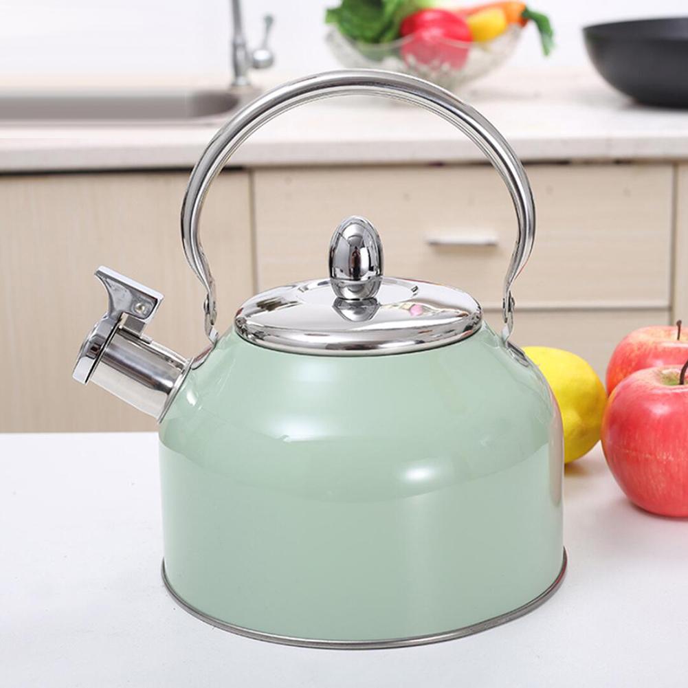 Stainless Steel Whistling Tea Kettle