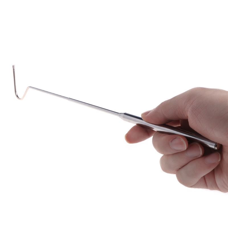 Stainless Telescopic Snake Grabber Pole