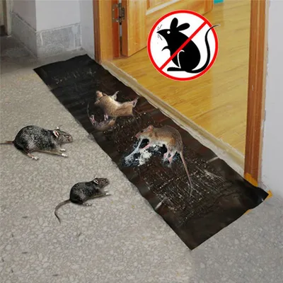 Sticky Mouse Trap Glue Board Pest Control Sticky Mouse Trap Glue Board Pest Control