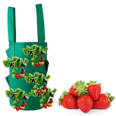 Strawberry Planter 11-Hole Plant Bag Strawberry Planter 11-Hole Plant Bag