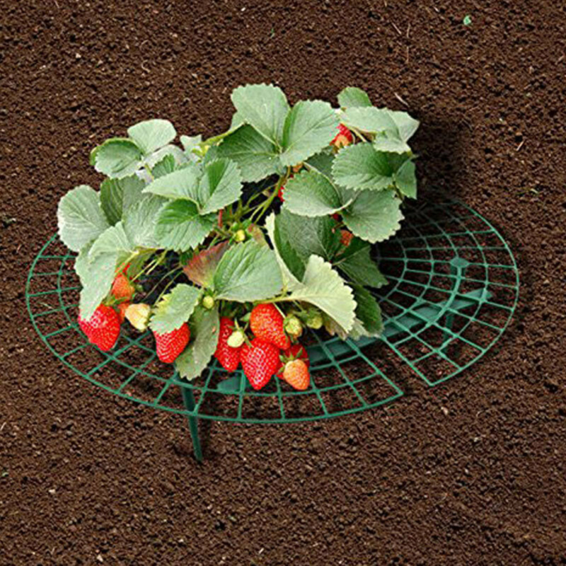 Strawberry Support Frame Stand (5 pcs)