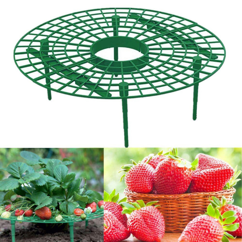 Strawberry Support Frame Stand (5 pcs)