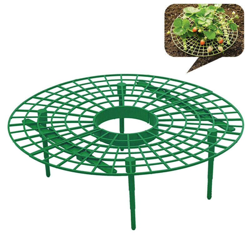 Strawberry Support Frame Stand (5 pcs)