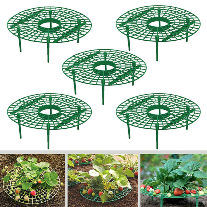 Strawberry Support Frame Stand (5 pcs)