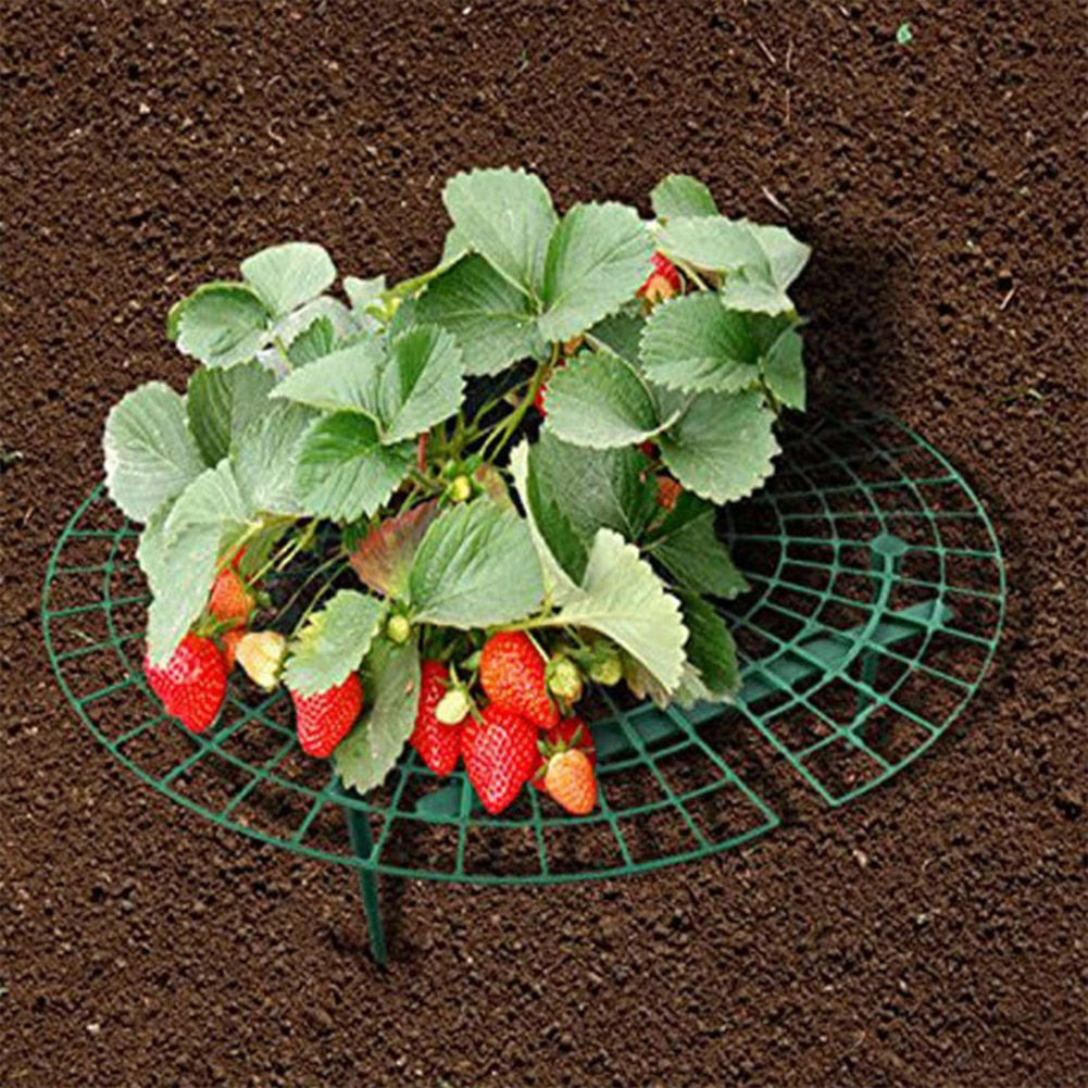 Strawberry Support Plastic Plant Frame Strawberry Support Plastic Plant Frame