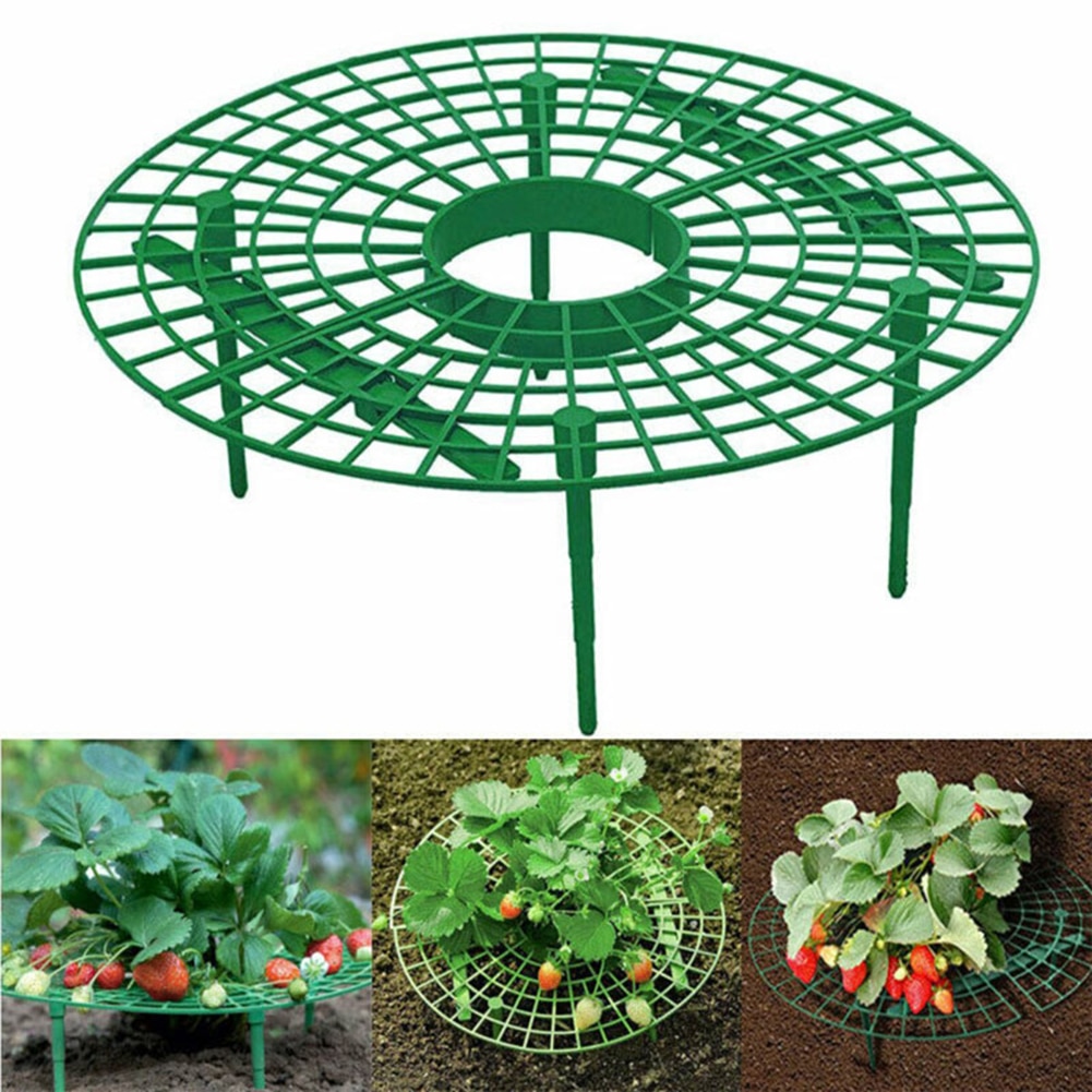 Strawberry Support Plastic Plant Frame Strawberry Support Plastic Plant Frame