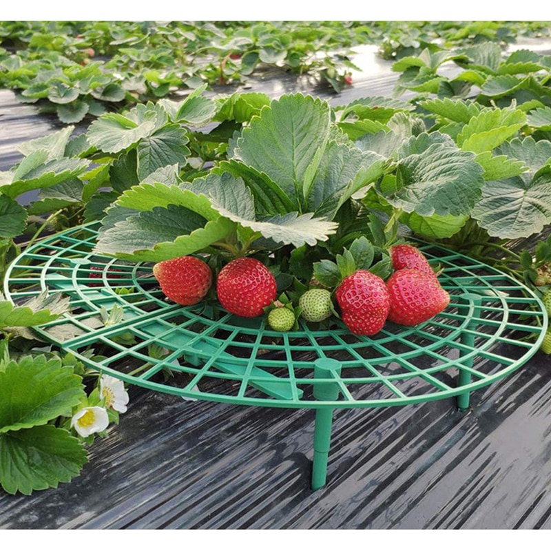 Strawberry Support Plastic Plant Frame Strawberry Support Plastic Plant Frame